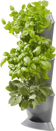 Vaso fioriera ripiani - fioriera, 3
